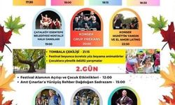 Pınarbaşı Anıt Çınarlar Festivali Cuma Günü Başlıyor