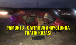 Pamukku-Çayırova anayolunda trafik kazası.. 2 yaralı