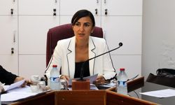 Rogers: “Reçete vurgunu ülkedeki sistemsizliğin resmidir”