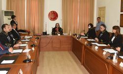 Yargıçlığa Atanan Evren Mürsel Ve İzzet Erkanlılar Bugün Sabah Düzenlenen Törenle Yemin Etti