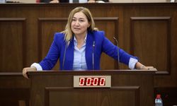 Öztürk:“Azerbaycan ile KKTC ilişkilerinde yeni bir ivme kazanıldı”