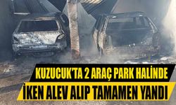 Kuzucuk'ta 2 araç park halinde iken alev alıp tamamen yandı