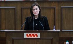 Derya: “Bu toplumu, protokol düzenine teslim etmeye kalkan egemenler kim?”