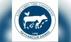 Hayvancılık Dairesi’nden aflatoksin konusunda açıklama