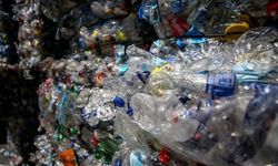 Dünya Plastik Kirliliğine Çözüm Arıyor