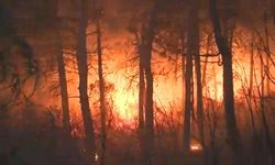 İspanya'nın Valensiya Bölgesindeki Orman Yangını Nedeniyle 600'den Fazla Kişi Evlerinden Tahliye Edildi