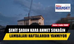 ŞEHİT ŞADAN KARA AHMET SOKAĞIN LAMBALARI HAFTALARDIR YANMIYOR