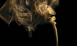 Pasif Sigara İçiciliği Akciğer Kanseri Riskini Yüzde 24 Oranında Artırıyor