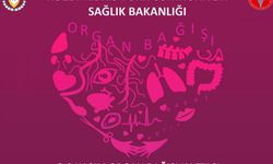 Sağlık Bakanlığı: “Organ Nakilleri, Hayatları Değiştirebilecek Tıbbi Bir Mucizedir”