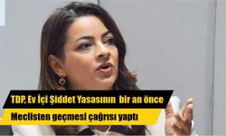 TDP, Ev İçi Şiddet Yasasının  Bir An Önce Meclisten Geçmesi Çağrısı Yaptı