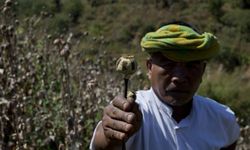 BM: "Myanmar, Afganistan'ı Geride Bırakarak Dünyanın Bir Numaralı Afyon Üreticisi Oldu"