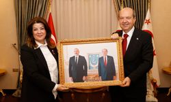 Cumhurbaşkanı Tatar, Türkiye, Azerbaycan Ve Özbekista'ndan Akademisyenlerle İş Kadınlarını Kabul Etti