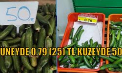 GÜNEYDE 0.79  (25) TL,  KUZEYDE 50 TL