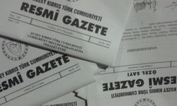 Resmi Gazete’den haberler… Asgari Ücret Saptama Komisyonu’nda üye değişti