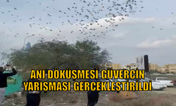 Anı Döküşmesi Güvercin Yarışması Gerçekleştirildi