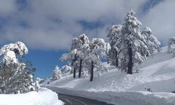 Kar, Trodos'u Beyaza Bürüdü, Dağ Köylerinin Yollarını Kapattı