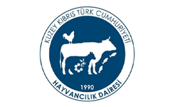 Hayvancılık Dairesi hatırlattı: “Hafta sonu yakalanan Pamuk Köpek Balığının nesli tehlikede, avlanması yasak”