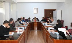 Cumhuriyet Meclisi, Hukuk, Siyasi İşler ve Dışilişkiler Komitesi toplandı