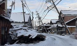 Japonya'daki Depremlerde Yaşamını Yitirenlerin Sayısı 238'e Çıktı