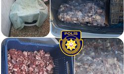 Gümrüksüz mal ithal ve tasarrufundan 2 tutuklu… Toplam 140,5 kg sığır eti ele geçirildi