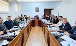 Cumhuriyet Meclisi, İdari, Kamu ve Sağlık İşleri Komitesi toplandı