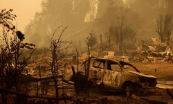 Şili'de Devam Eden Orman Yangınlarında Hayatını Kaybedenlerin Sayısı 112'ye Yükseldi