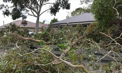 Avustralya'nın Victoria eyaletindeki fırtına nedeniyle binlerce kişi elektriksiz kaldı