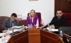 Cumhuriyet Meclisi, Hukuk, Siyasi İşler ve Dış ilişkiler Komitesi toplandı