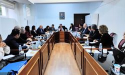 Yükseköğretim kurumlarının denetimi ve YÖDAK’ın araştırılmasına ilişkin Meclis araştırma komitesi toplandı
