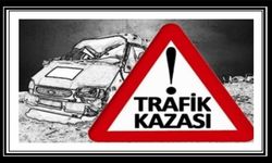 Boğazköy-Dikmen ana yolundaki kazada alkollü sürücü yoldan çıktı