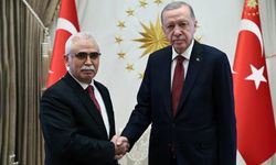 Erdoğan, TC Anayasa Mahkemesi Başkanı Özkaya'yı Kabul Etti