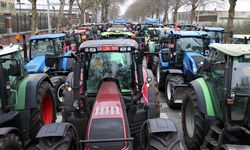 Hollanda Çiftçilerinden Brüksel'de Protesto
