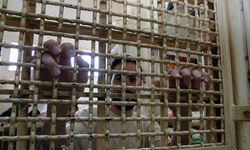 İsrail Cezaevlerinde İdari Tutuklu Filistinlilerin Sayısı 3 Bin 660'ı Aştı