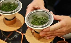 Japonya'da Mevsimin İlk Hasat Edilen Yeşil Çayının Kilogramı 1,11 Milyon Yene Alıcı Buldu