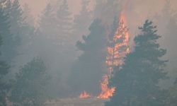 Orman Dairesi Müdürlüğü, Yangın Tehlikesine Karşı Kurallara Ve Alınması Gereken Önlemlere Dikkat Çekti