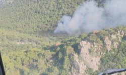 Antalya'da Orman Yangını: Yangın Kontrol Altına Alınmaya Çalışılıyor