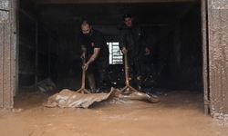 Brezilya'daki Sel Felaketinde Ölenlerin Sayısı 137'ye Çıktı