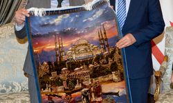 Cumhurbaşkanı Ersin Tatar, Türk Dünyası Gençlik Konseyi Heyetini Kabul Etti