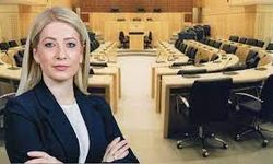 Rum Meclis Başkanı Ermeni Büyükelçi ile görüştü