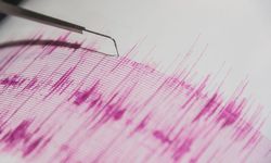 Japonya'nın Batısında 6 Büyüklüğünde Deprem Oldu