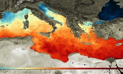 Akdeniz'de Deniz Suyu Sıcaklığının 31 Dereceyle Rekor Seviyeye Ulaşması Bekleniyor
