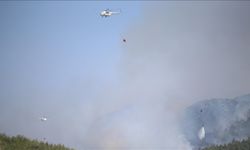 Bodrum'da Çıkan Orman Yangınına Havadan Ve Karadan Müdahale Ediliyor