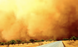 BM, toz ve kum fırtınalarına karşı mücadele çağrısı yaptı