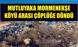 MUTLUYAKA MORMENEKŞE KÖYÜ ARASI ÇÖPLÜĞE DÖNDÜ