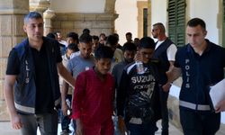 Güzelyurt’ta 2500 baş sarımsak çalındı… 17 kişi tutuklandı