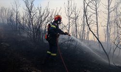 Yunanistan'da Son 24 Saatte Çıkan 45 Orman Yangınından 31'i Kontrol Altına Alındı