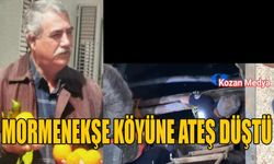 Mormenekşe köyüne ateş düştü