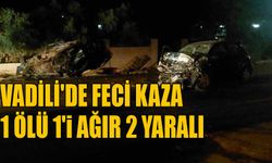 Vadili'de feci kaza 1 ölü 1'i ağır 2 yaralı