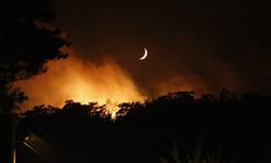 Muğla'da çıkan orman yangınına müdahale gece boyunca devam etti