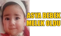 Asya bebek melek oldu